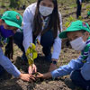 Tree Planting Day in Colombia