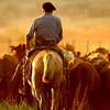 Rural Workers' Day in Uruguay