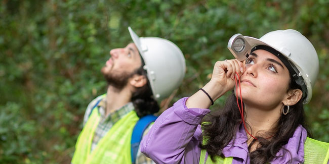 3 May - National Forest Engineer's Day in Chile