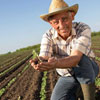 Costa Rican Farmer's Day