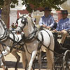 Fair and Festivities in honor of Our Lady of Health in Cordoba, Andalusia, Spain