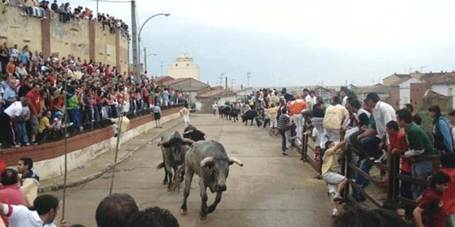 12 June - Patronal Feast in honor of San Juan de Sahagun