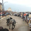 Patronal Feast in honor of San Juan de Sahagun