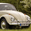 International Volkswagen Beetle Day