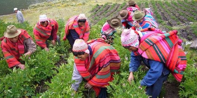 24 June - Farmer's Day in Peru