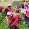 Farmer's Day in Peru