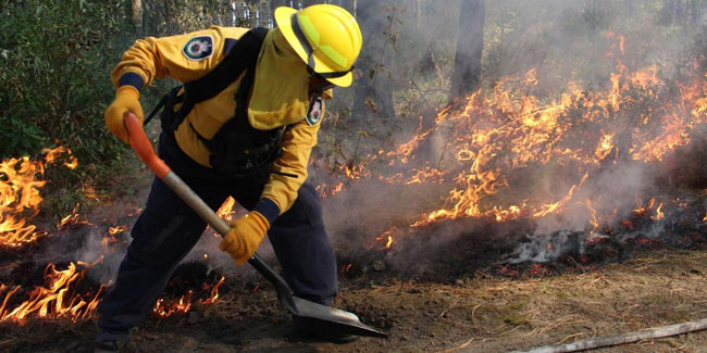 11 July - National Wildfire Fighter's Day in Mexico