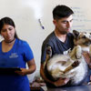 National Veterinarian Zootechnician Day in Mexico