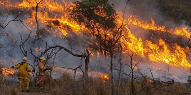 18 August - Forest Fire Prevention Day in Argentina