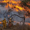 Forest Fire Prevention Day in Argentina