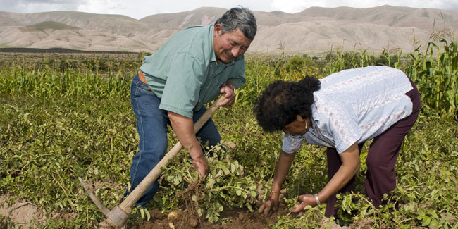 8 September - Farmers' and agricultural producers' Day in Argentina