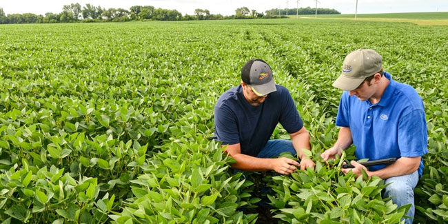 9 September - World Agriculture Day