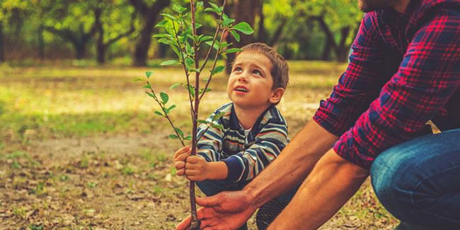 1 October - National Tree Day in Bolivia