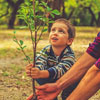 National Tree Day in Bolivia