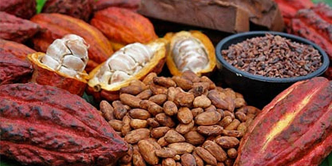 1 October - Cocoa Day in Venezuela