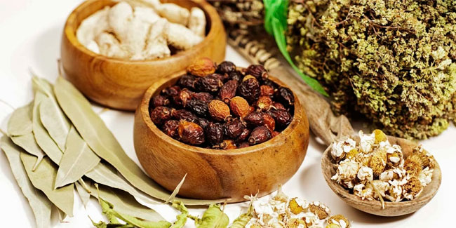 22 October - World Traditional Medicine Day