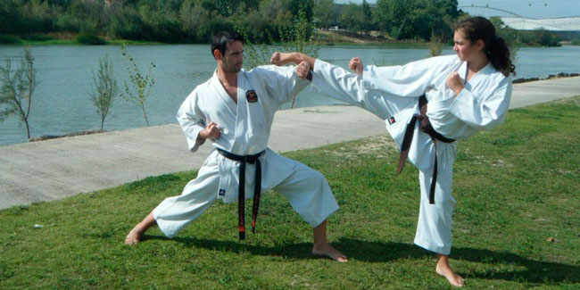 25 October - World Karate Day