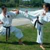 World Karate Day