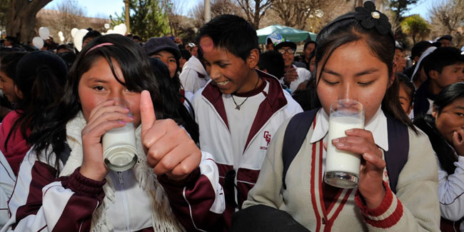 26 October - National Milk Day in Bolivia