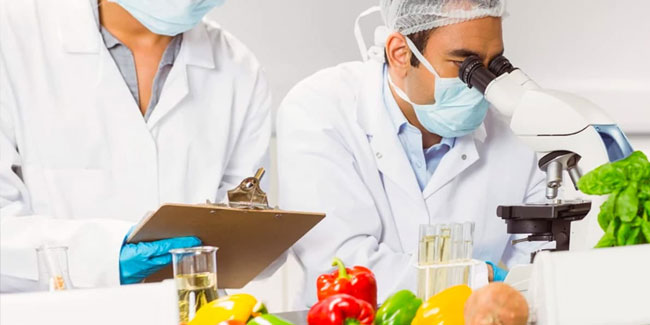 17 November - National Food Safety Day in Spain