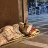 National Homeless Day in Spain
