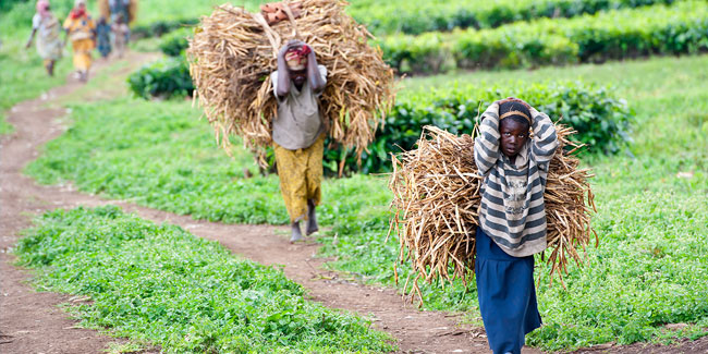 9 December - International Day for the Dignity of Child and Adolescent Workers