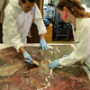 International Conservator Restorer's Day