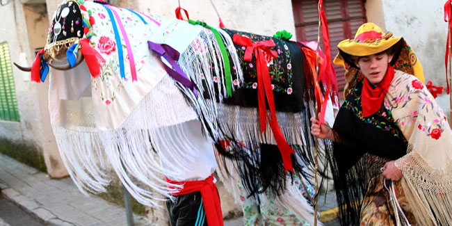 25 January - Fiesta de la Vaquilla in Colmenar Viejo