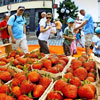 Erdbeerfest or Strawberry Festival in Germany