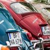 May Beetle Meeting