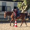 Leonberg Equestrian Games