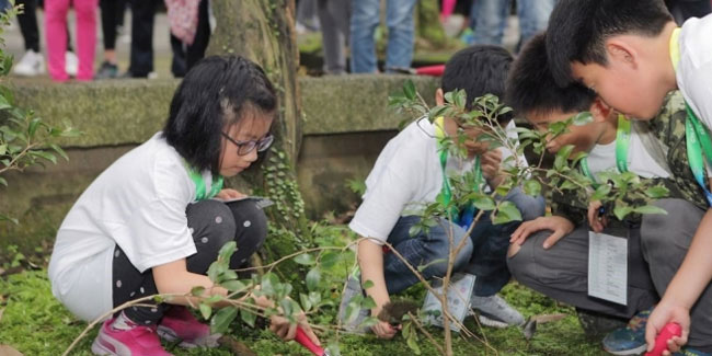 12 March - Arbor Day in Taiwan