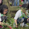 Arbor Day in Taiwan