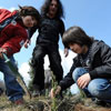 Tree Day in Republic of Macedonia