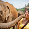 National Elephant Day in Thailand