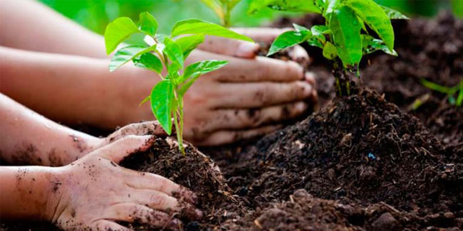 21 March - Arbor Day in Portugal