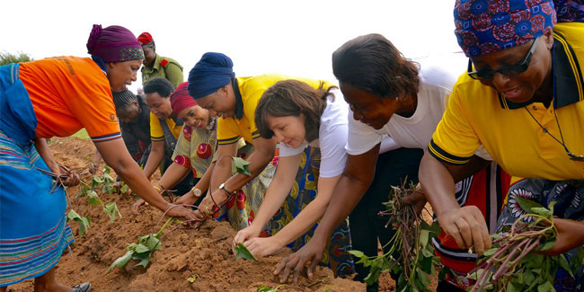 1 April - Arbor Day in Tanzania