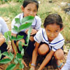 Tree Day in India