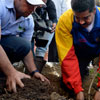 Venezuela Arbor Day