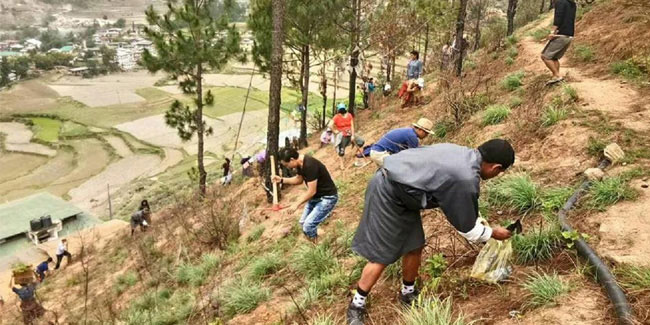 2 June - Social Forestry Day in Bhutan