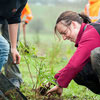 Arbor Day in New Zealand