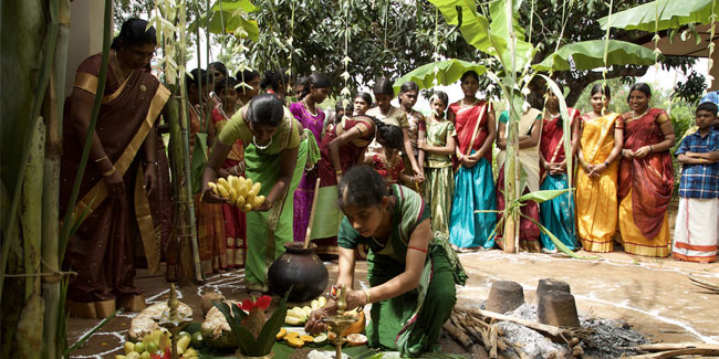 15 January - Thai Pongal, Tamil harvest festival in India