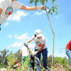 Arbor Day in Costa Rica