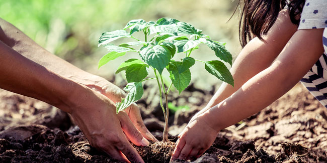 25 June - Arbor Day in the Philippines