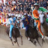 Palio di Provenzano