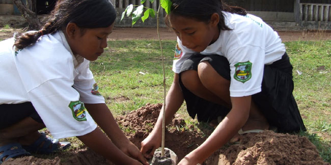 9 July - Arbor Day in Cambodia