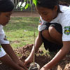 Arbor Day in Cambodia