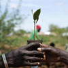 Tree Planting Day in Central African Republic