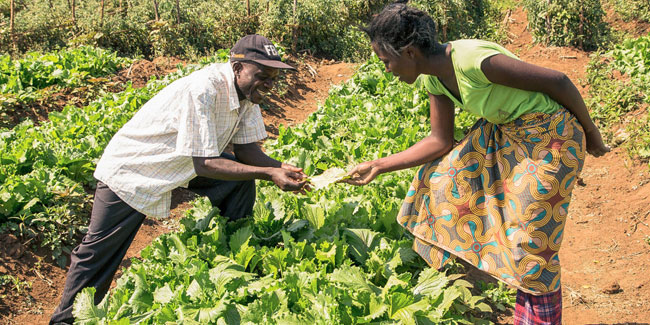 5 August - Zambia Farmers' Day