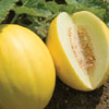 Melon Day in Turkmenistan